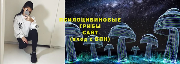 PSILOCYBIN Вязьма